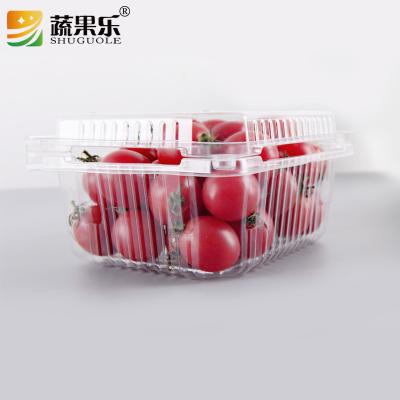 China High Grade Disposable PET Container Transparent Fruit Blister Pack For 1000g Plastic Clear Box for sale