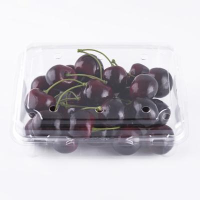 China Disposable Food Grade PET Disposable Plastic Cherry Fruit Food Packaging Box for sale