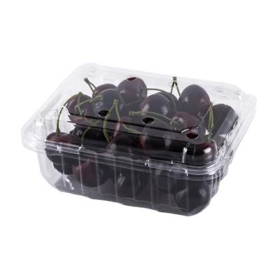 China Disposable Plastic Clear Clamshell Cherry Fruit Packaging Container for sale