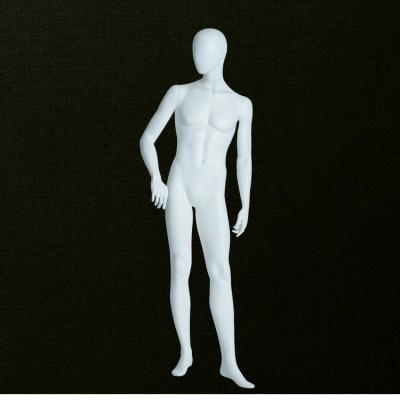 China Full Body Male Mannequin Factory Sale Size Dummy Model for sale