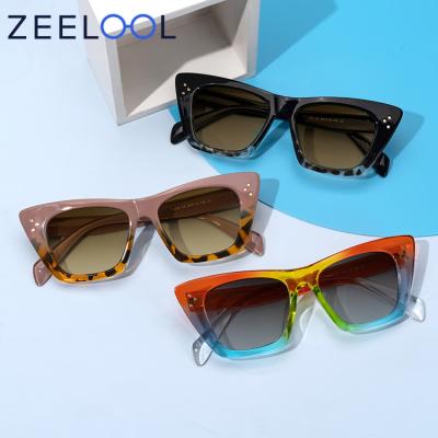 China Fashion sunglasses Zeelool high quality designed quality custom colored orange frame sunglass cateye glass shades wholesale sunglasses for sale