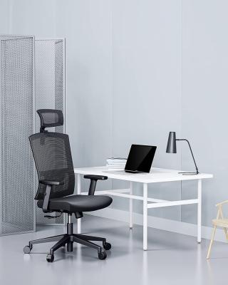 China (Height) Adjustable Ergonomic Mesh Chair Lumbar Support Computer Chair with Rocking Function for sale