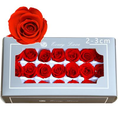 China Preserved Roses Flower Eternal Flower Rose A Grade 2-3cm Wholesale High Quality 21 Pieces Fresh Preserved Rose Material for sale