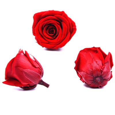 China Preserved Roses Flower Eternal Flower Rose Head A Grade 4cm Wholesale High Quality 10 Pieces Fresh Preserved Rose for sale