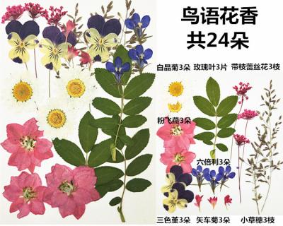 China Real Flower Dry Pressed Dried Flowers Leaves Natural Dried Flowers DIY Pressed Flowers Daisy Rose Colorful Mixed For Resin for sale