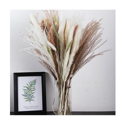 China Boho Style The Most Popular Dried Pampas Grass Bunch For Home Decoration for sale