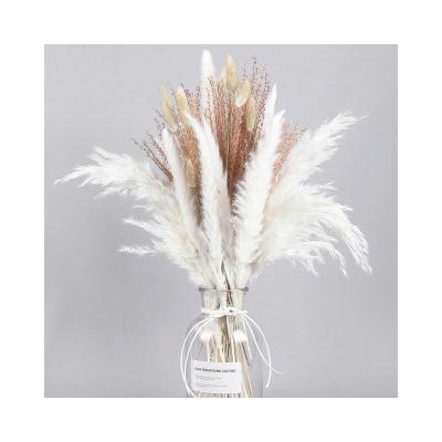 China Boho Style Boho Style Pampas Grass Bouquet Natural Dry Decorative Pampas Grass Bouquet Selling Bouquet for sale