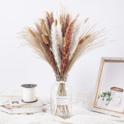 China Boho Style Real Natural Fluffy Pampas Grass Plant Dry Decorative Reed Bunny Tail Small Pampas Grass Mixed Bunch For Home Decorums for sale