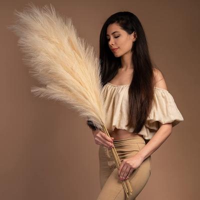 China 43 Inch 110cm Faux Pampas Gass Fake Pampas Gass Boho Style Large Fake Fake Pampas Grass Beige Artificial Decoration Large 43 for sale