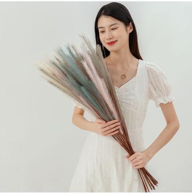 China 31 Inch Boho Style 80cm Fake Flower Artificial Feather Pampas Grass Artificial Plant For Home Decoration for sale