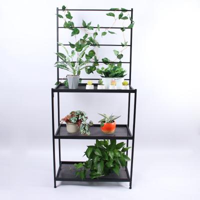 China Indoor Screen Plant With Trellis High Durability Single Garden Potting Station Large Plant Stand for sale