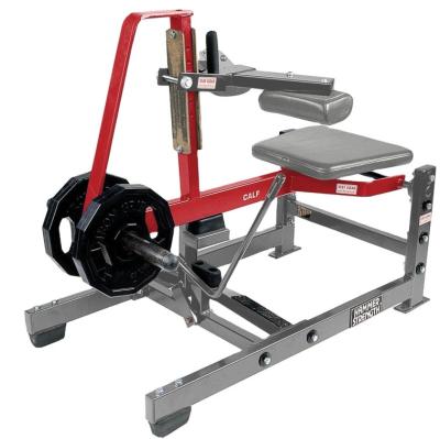 China Universal Indoor Sports Machine Seated Calf Raise Hammer Strength Gym Equipment for sale