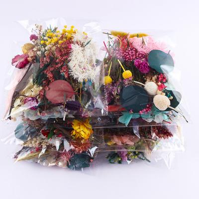 China Real natural dried flower DIY makeup nail frame decoration plant random specimens dry flower for sale