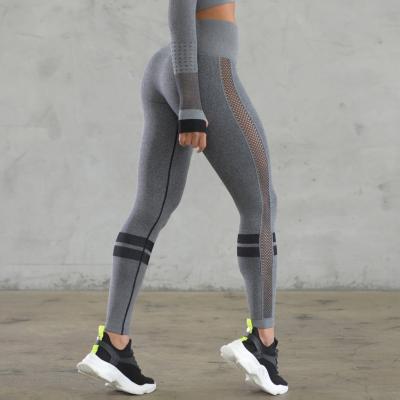 China Breathable Women Fitness Leggings Yoga Pants High Waist Sportswear Comfort Stretch Fitness and Yoga Wear Workout Leggings for sale