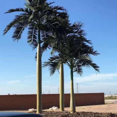 China 1:1 High Simulation UV Resistant Artificial Palm Trees Yirong Large Artificial Artificial Palm Plants For Outdoor Garden Landscape Decoration for sale