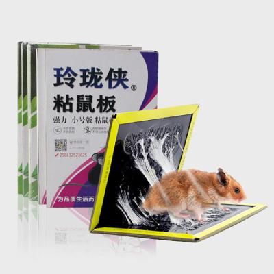 China Mouse Rat Traps Mouse Glue Board Disposable Strong Adhesive Sticky Paper Board for sale