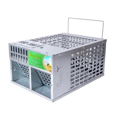 China Bait 20cm Disposable Humane Live Rat Trap Humane Live Trap Pest Rat Mouse Control Cage for sale