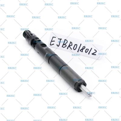 China high pressure injector delphi EJBR01801Z (8200049873) injektor diesel EJB R01801Z / EJBR0 1801Z for NISSAN for Renault for sale