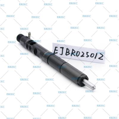 Chine injecteur original commun diesel EJBR0 2501Z de l'injecteur EJB R02501Z Delphes de rail de l'injecteur EJBR02501Z Delphes de Delphes à vendre