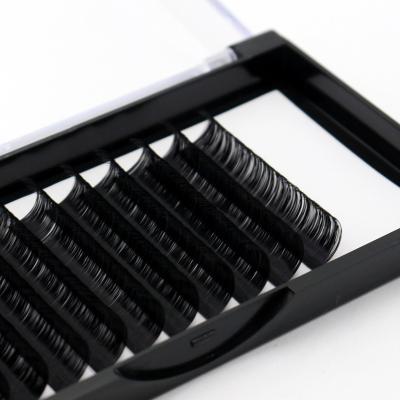 China Long Natural Eyelashes Tray Eyelash Vendor by Mink Matte Flat Lashes Extensions Individual Volume False for sale