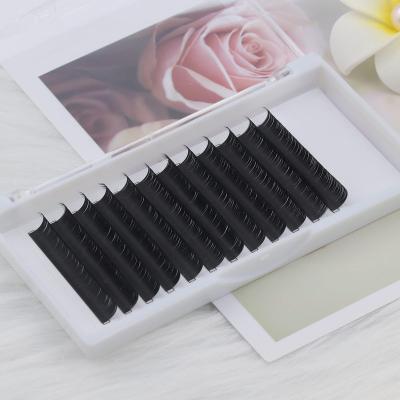 China Professional PBT Lash Extensions Trays Wholesale Custom Private Label Long Set Supplies Natural Korean Eyelash Extensions for sale