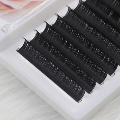 China Long PBT Natural Korean Individual Eyelash Extensions J Loop Easy Lash Extension Supplies Private Label for sale