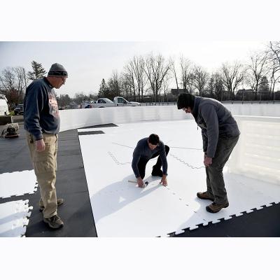 China PE Virgin 100% indoor and outdoor pe sheet Synthetic Ice Rinks  Best Synthetic Ice Panels for sale for sale