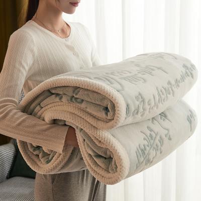 China PORTABLE Winter Thickened Double-Layer Milk Wool Blanket Double-Sided Flannel Sherpa Multi-Function Blanket Comforter for sale