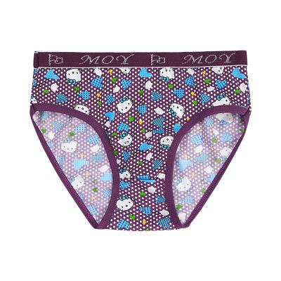 China Fashion Children Clothing Breathable Children Panties Girl Briefs Cute Kids Girls Panties Lovely Underwear Cartoon Panties for sale