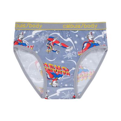 China Thermal underwear for boys cute printing cartoon boxer underwear for boys for sale