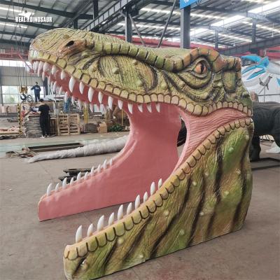 China Museum dinosaur park pathway fiberglass dinosaur head for taking pictures for sale