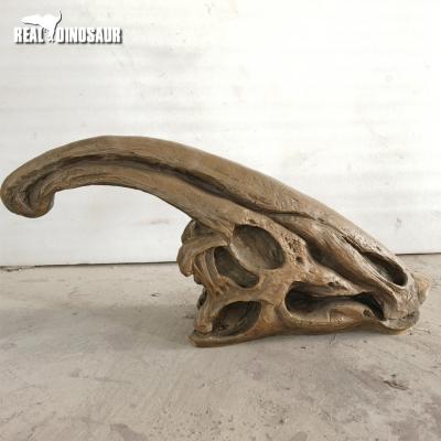 China Museum Jurassic Park Dinosaur Skeleton Dinosaur Head Skeleton For Sale for sale