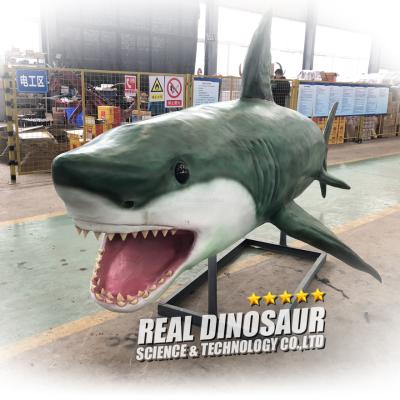 China Amusement park Marine Animal Exhibit Animatronic Shark with movements for sale