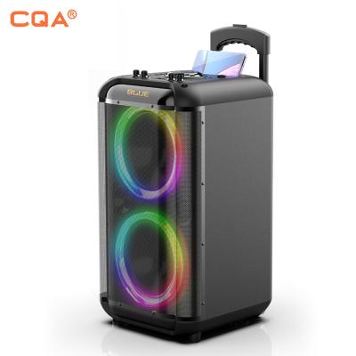 China Phone Operate CQA 2020 New Model Private Active 8inch Professional Trolley Loudspeaker With MIC/light/FM for sale