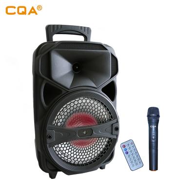 China CQA New Model PORTABLE Cheap PA System Trolley Wireless Speaker 8