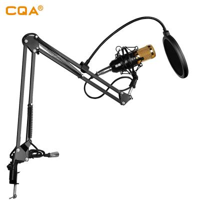 China Studio XLR Handheld Cardioid Microphone Professional Condenser Microphone Condenser Microphone for Project / Home Studio Applications for sale