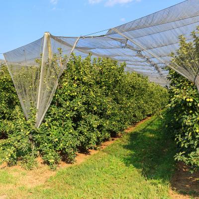 China Quality Sunscreen Anti Bird Mesh Net for Cherry Blueberries Plant Fruit Pond Cultivation Protection for sale