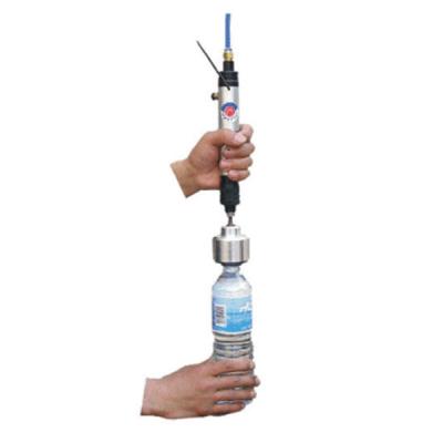 China RG-II pneumatic manual bottle screwed capping machine for sale