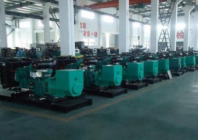 China 100kw LPG generator set for sale