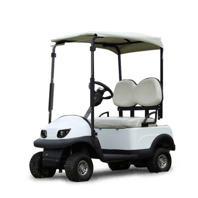 China 2 seater electric golf car  for sale