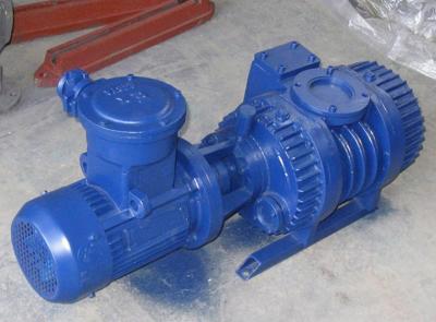 China ZJ150 Roots Vacuum Pump for sale