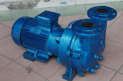 China 2BV5121 Single Stage Water Ring Vacuum Pump for sale