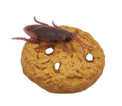 China Plastic Plastic Prank Toy Cookie Roach Party Toy for sale