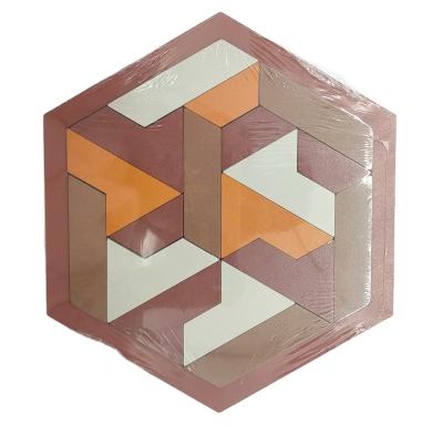 China Classic Wooden Puzzle Toy Brain Teasers Game IQ Test Wooden Hexagon Puzzles for sale