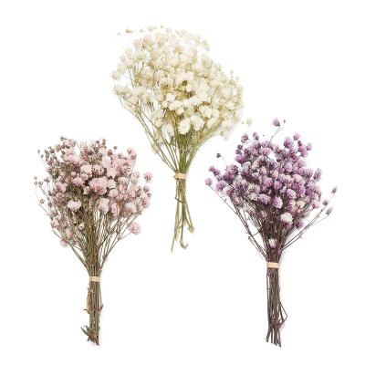 China Mini Decorative Dried Flowers Babysbreath Eco-Friendly Flowers Bouquet Natural Plants Preserve Floral For Wedding Home Decoration for sale