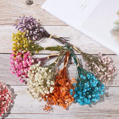 China 1 Group Mini Natural Dried Flowers Babysbreath Flower Bouquet Photography Backdrop Eco-friendly Fresh Preserved Decorative Decor for sale