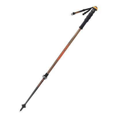 China Versatility outdoor camping pole single rise retractable nordic walking poles for sale for sale