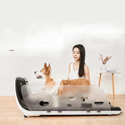 China Small Animals Factory Direct Selling Temperature Adjustment Dog Running Machine Pet Treadmill With Feeding Function for sale