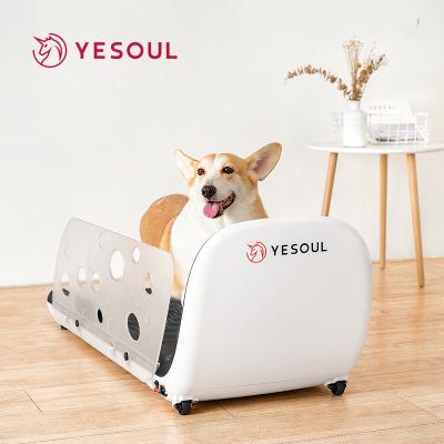 China YESOUL Animals Small Dog Treadmill Sports Running Pet Treadmill Machine Animal Electric Treadmill for sale