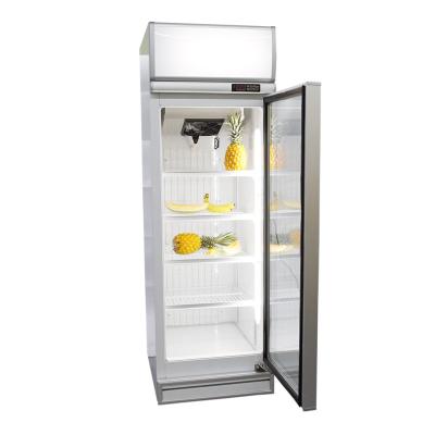 China Single-Temperature Redbowl 500L Single Door Glass Beer Display Fridge Kitchen Equipment For Energy Drink for sale